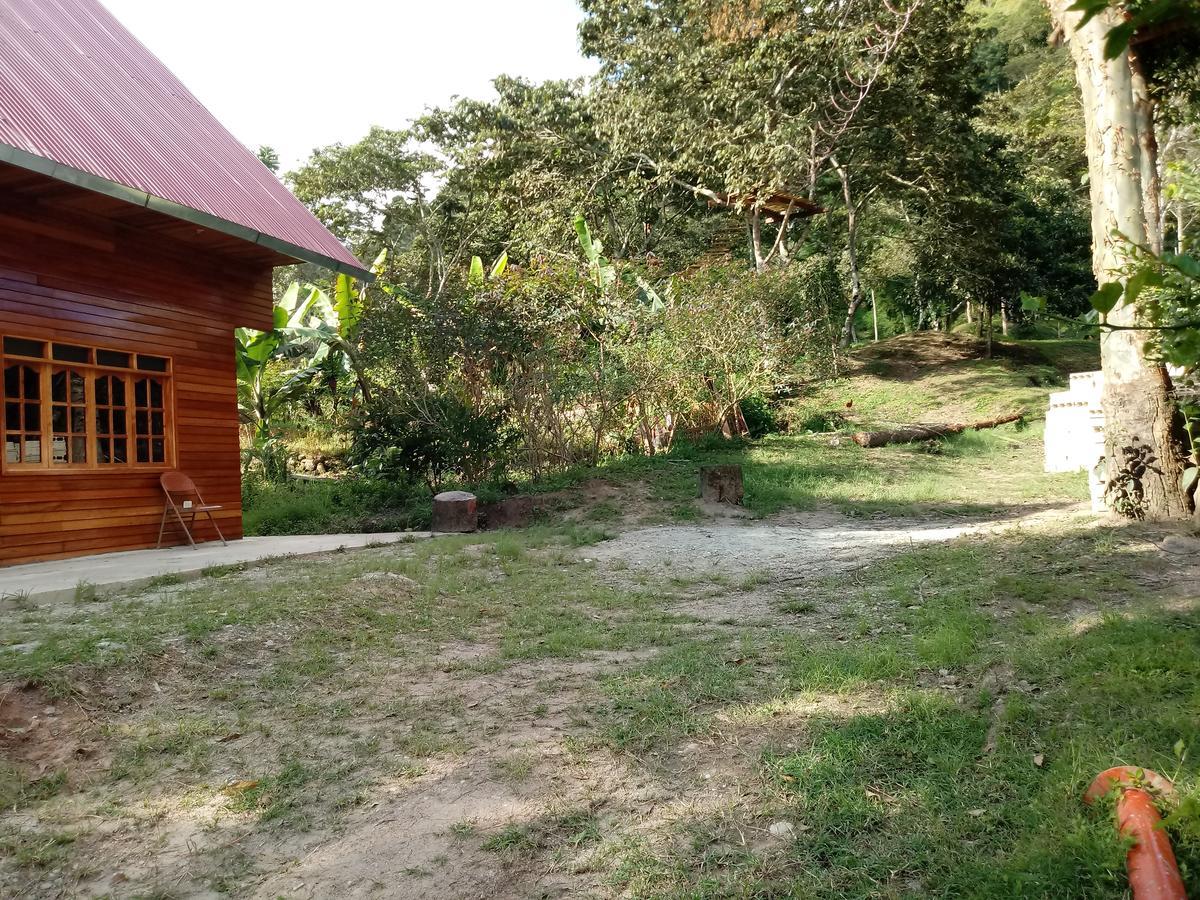 La Cabana De Noa Oxapampa Bagian luar foto